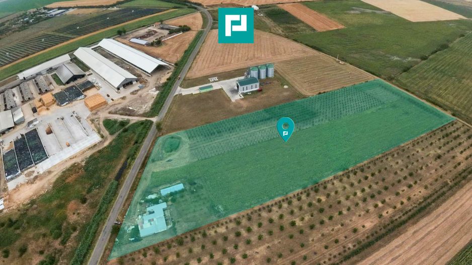 Livadă de 3,6 hectare în Iratoșu – Oportunitate - Poză 1