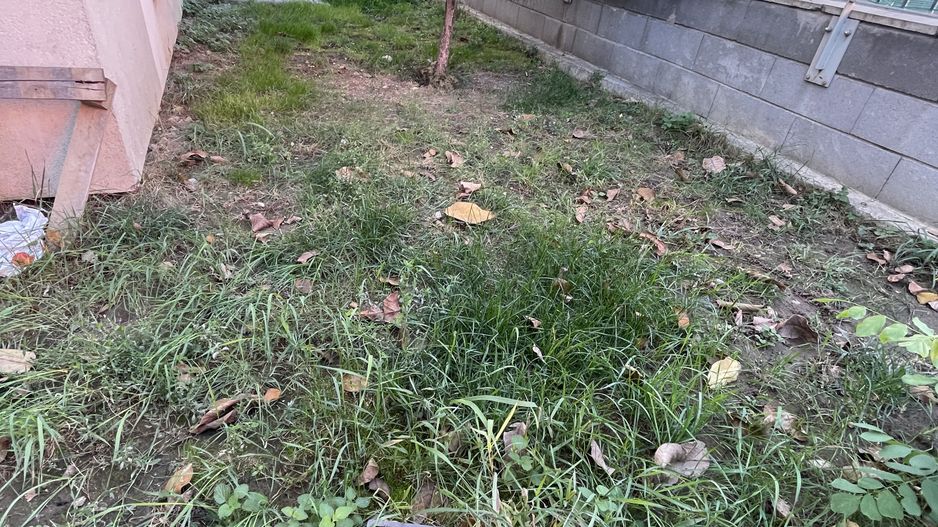 Braytim-Lidia | 2 camere | Curte proprie 62 mp | Loc de parcare - Poză 16