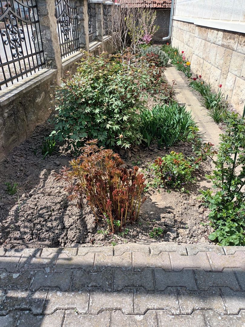 Casa de vanzare in localitatea Balc - Poză 2