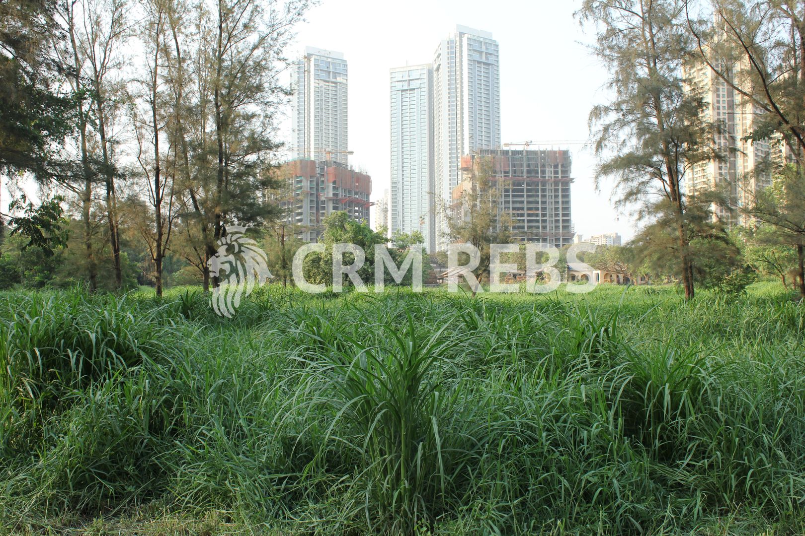 BANEASA 890Mp URBANISM VALABIL LANGA BLOCURI Greenfield Residence - Poză 1