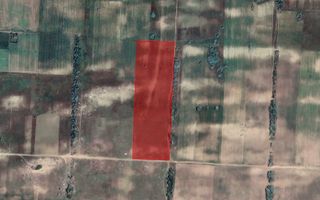 Sapient | Teren agricol _ loc. Desa, jud. Dolj - Poză 3