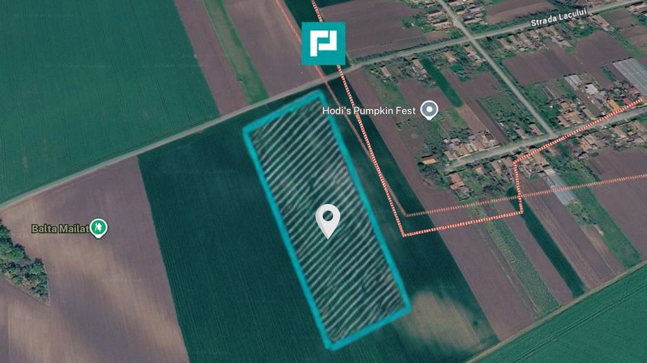 Teren de 8600 Mp2, agricol extravilan, Mailat - Poză 2