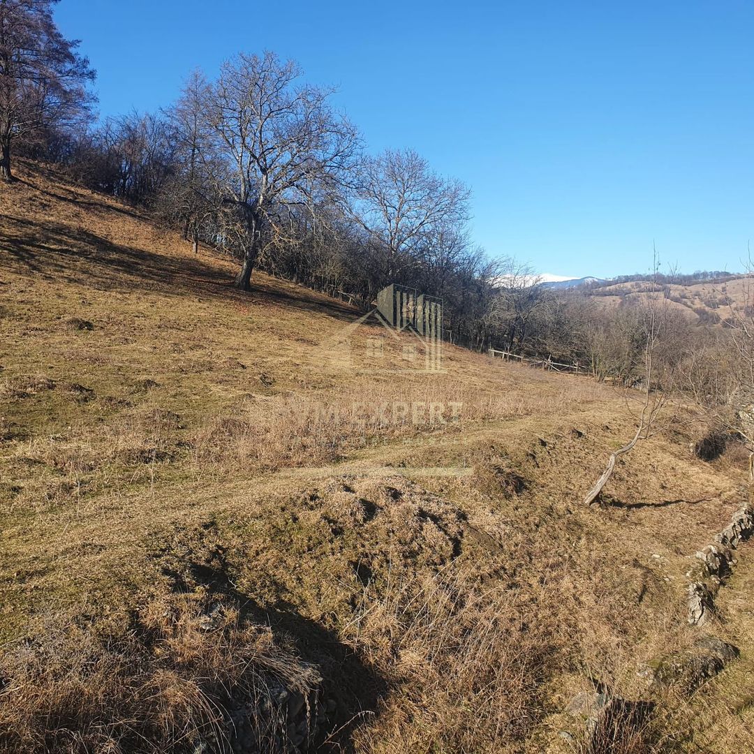 TEREN INTRAVILAN 4614 MP, CAMPULUNG - VALEA ROMANESTILOR - Poză 10