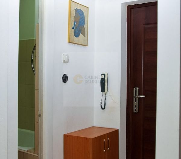 Garsonieră - 29 MP | Reabilitat Termic | Pantelimon - Poză 5