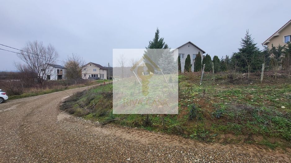 Teren extravilan Paleu - Poză 2