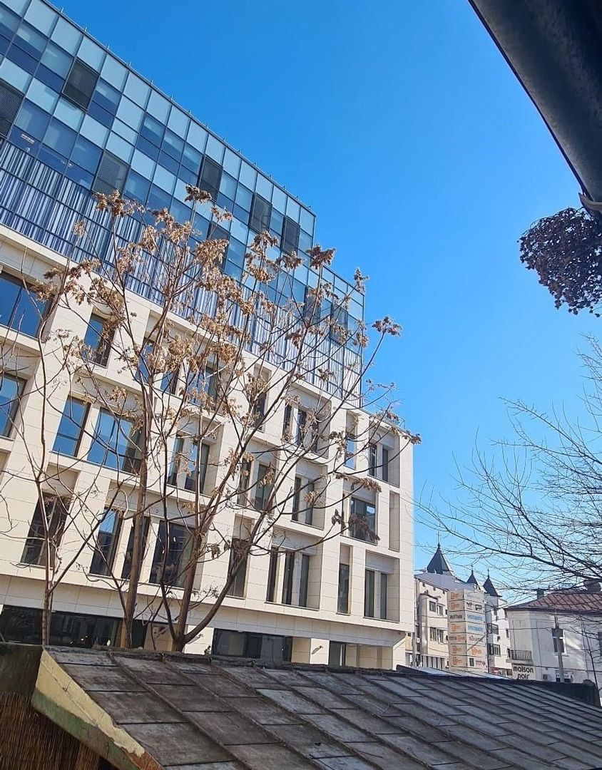 Apartament 3 camere - Piața Victoriei - curte 30mp  - 113mp utili - Poză 15