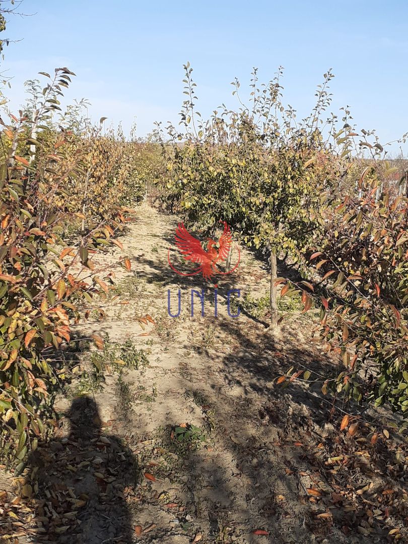 Casa Bradesti, teren 1239 mp - 29 995 Euro - Poză 3