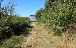 Teren intravilan Cisnadioara, Sibiu - Poză 5