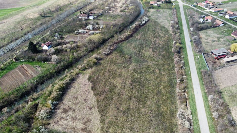 Teren intravilan Balint 22.500 mp - Poză 14