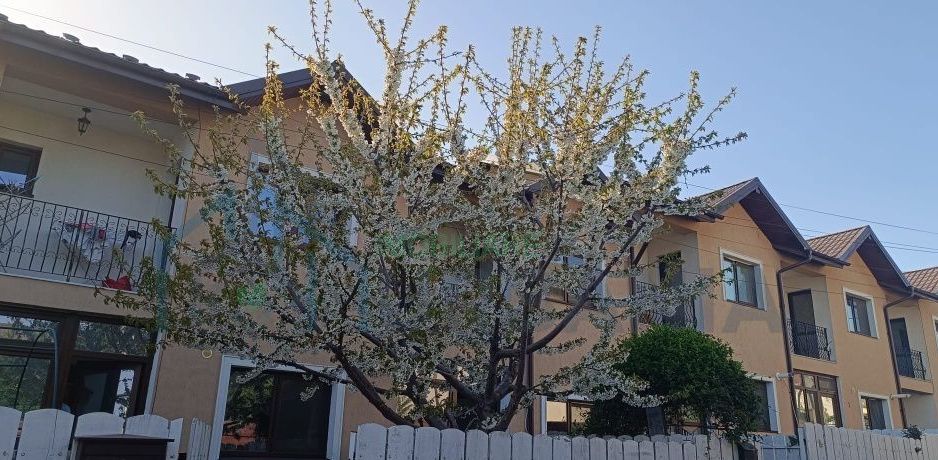 Casă înșiruită 3 camere, 2 grădini, 2 locuri parcare – Valea Lupului - Poză 1