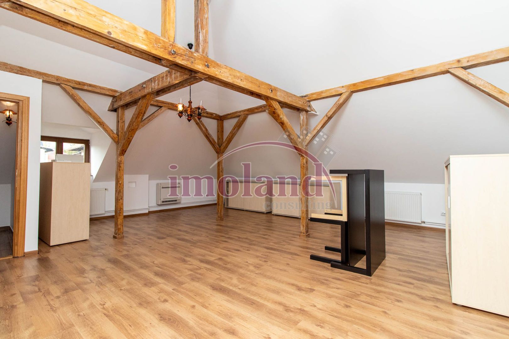 Inchiriere - Rezidenta/Birouri - Vila cu curte - Aviatorilor - Poză 30