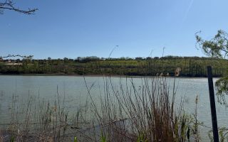 Casă spațioasă pe malul lacului Ezareni, zona Valea Adâncă, Miroslava – de închiriat - Poză 5
