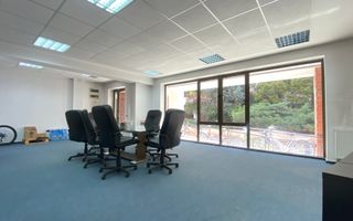 Spații de Birouri Moderne, Cișmigiu - Poză 7