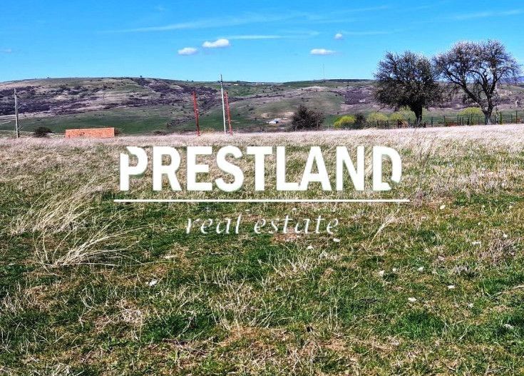 Teren situat în Daia Nouă!! - Poză 4