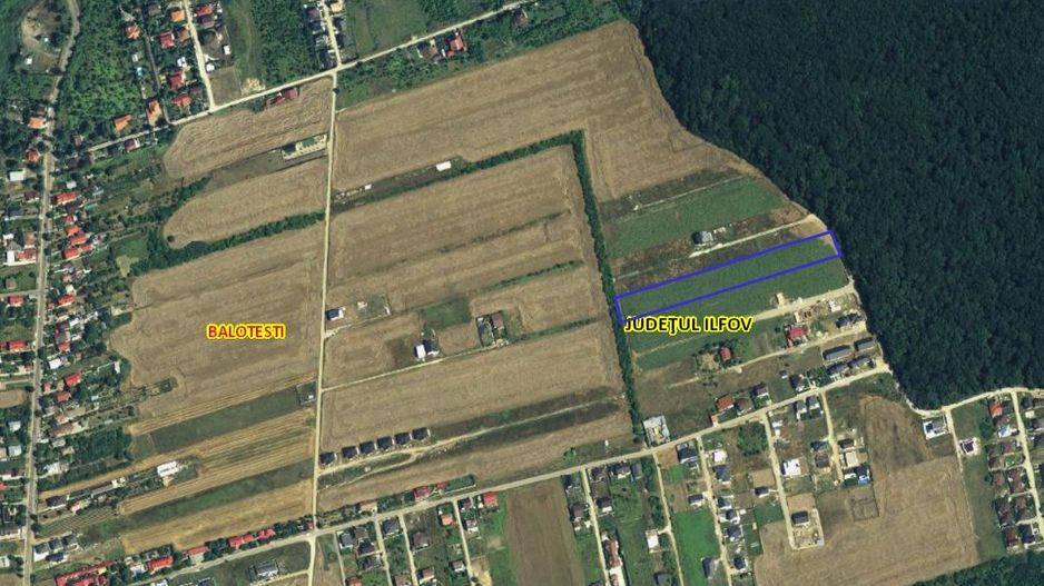 Balotesti- Dumbraveni- Padure - Poză 2