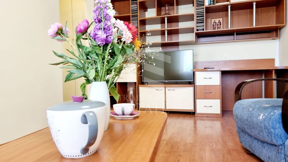 Apartament 2 camere Hanul Drumetului Bd 1 Mai Drumul Taberei - Poză 4