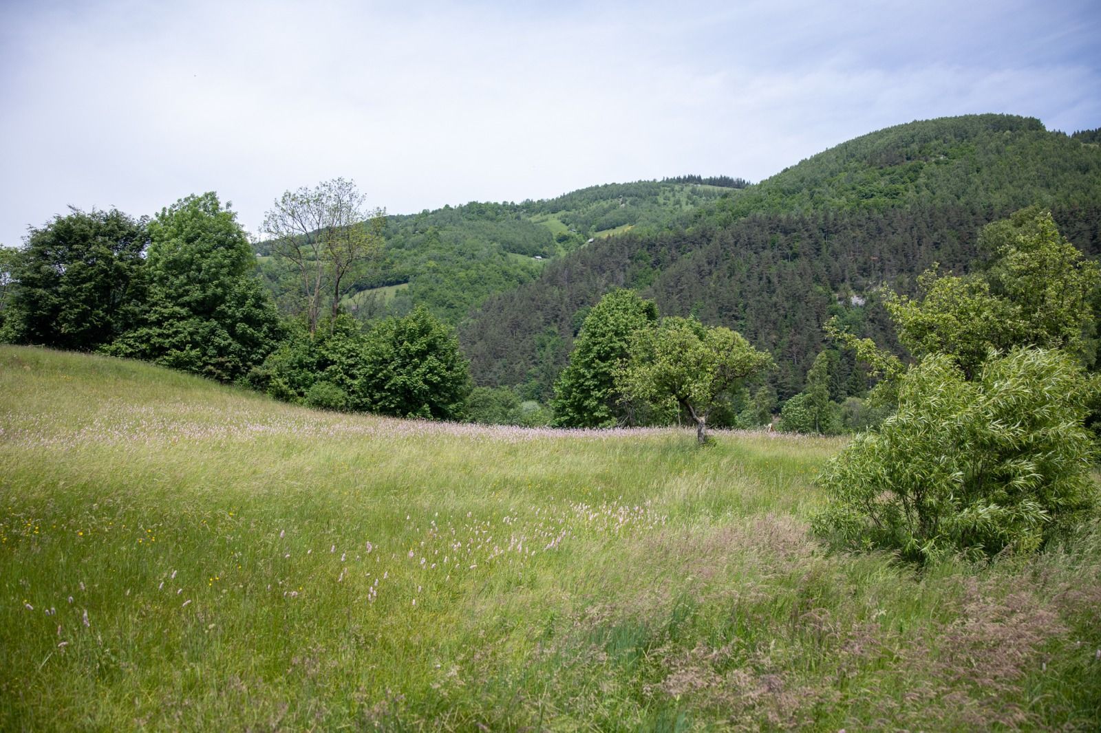 Teren intravilan - 1.050 mp în Bran cu utilitati – priveliște Bucegi - Poză 8