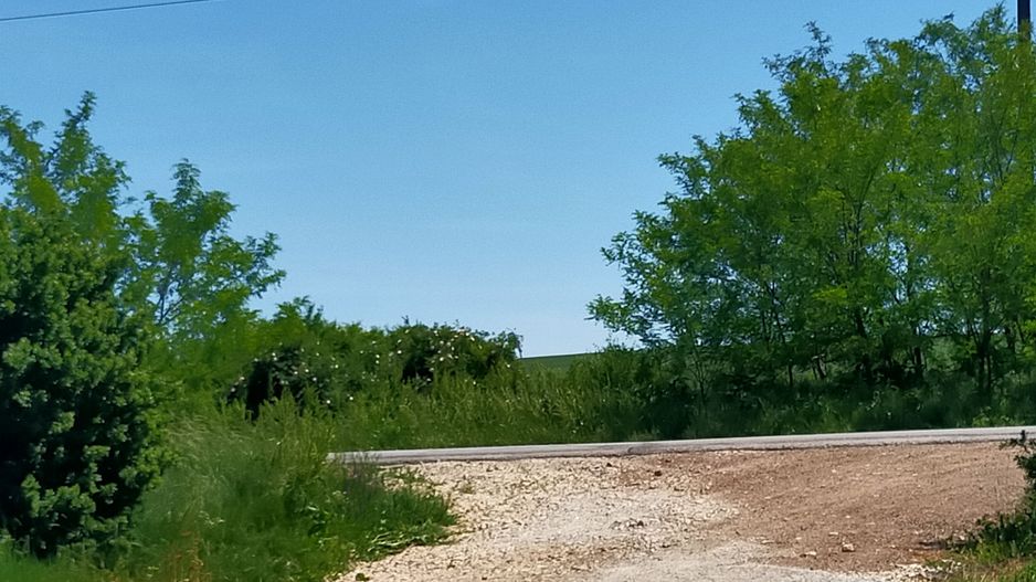 Un strop de liniște aproape de Timișoara - Poză 3