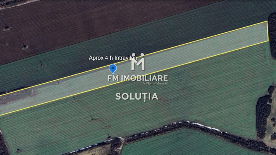 Teren intravilan – Crevedia – 62 de parcele – Acces din DN1A - Poză 5