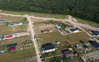 Teren Intravilan 1.111 mp | Utilități la Teren | Alparea | Bihor - Poză 3