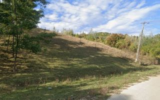 Teren intravilan 3.247 mp, oportunitate afacere, Slănic, Prahova - Poză 2