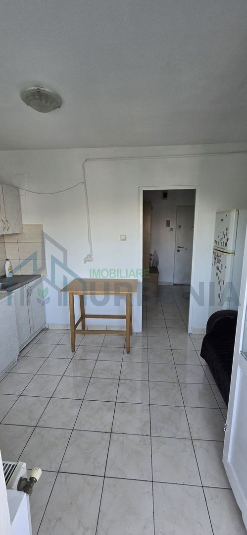 Apartament decomandat cu 1 cameră de închiriat – Păcurari, Alexandru cel Bun - Poză 8