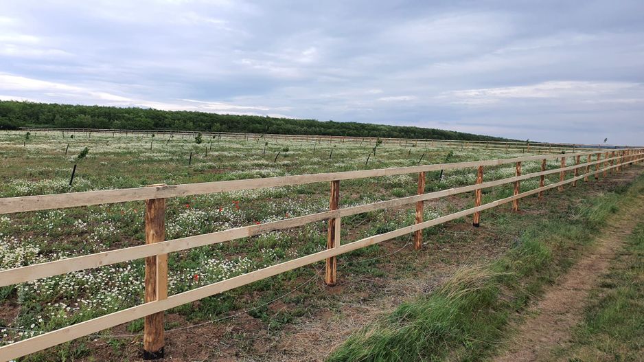 Teren (livada) destinatii multiple, imprejmuit, zona super - Poză 6