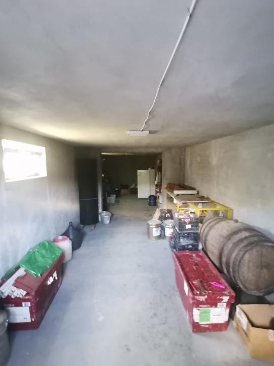 Vanzare hala si teren, Maracineni - Poză 6