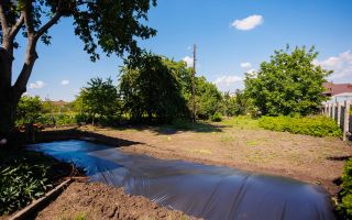 Vânzare, casă, 2 nivele, 4 camere, strada Ciocana Veche, Colonița - Poză 39