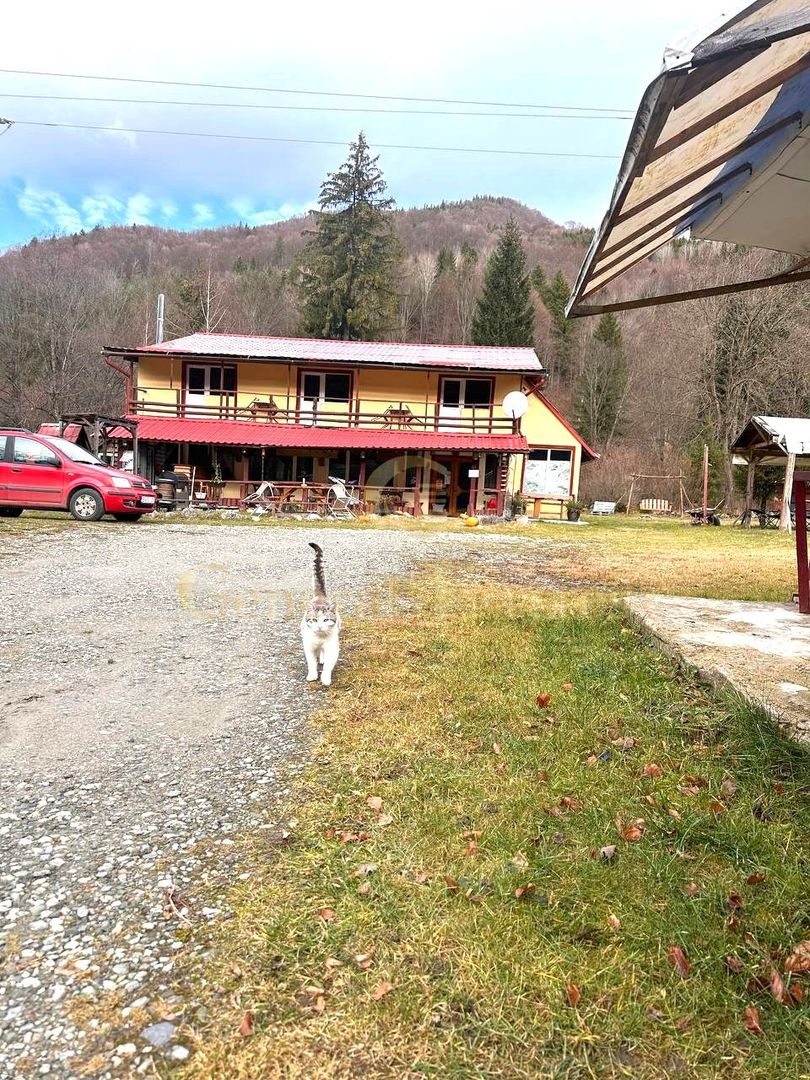 Vilă premium la munte – ideală pentru pensiune sau retreat - Poză 6