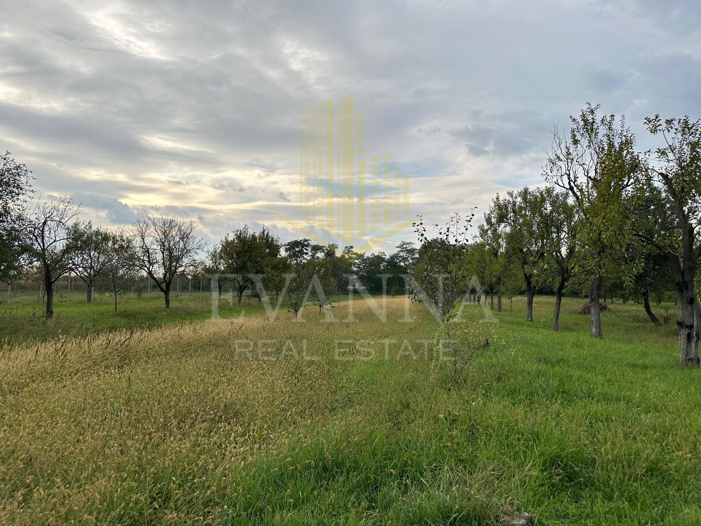 Casa de vanzare Seini - Poză 3