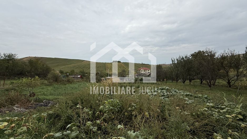 Teren construibil – 1.000 mp | Gădălin - Poză 3