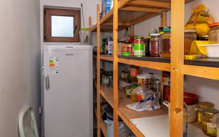 Casa moderna si casa bunicii + 6300 mp teren,Oaza autentica in Corbi Arges- - Poză 21
