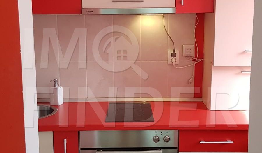 Inchiriere apartament 1 camera Centru, langa Platinia Mall/ USAMV - Poză 8