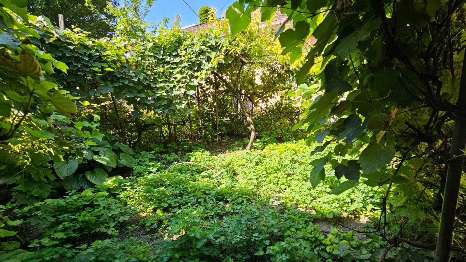 0 % comision ! Casa cu 2 camere 69 mp, strada Somesului - Poză 18