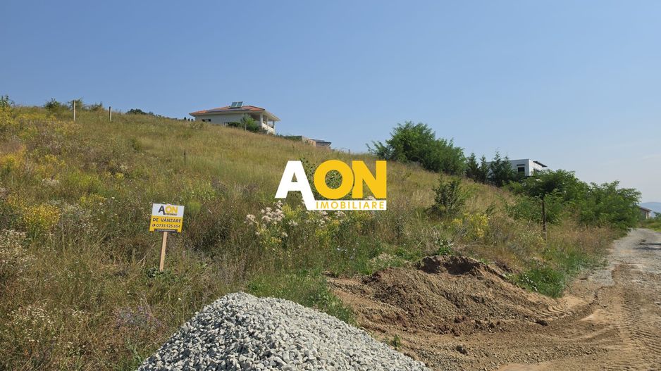 Teren intravilan, 1000 mp, Cetate, zona Seigau - Poză 1