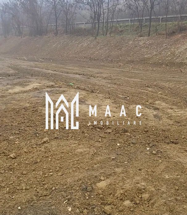 Teren Intravilan | 3.700 mp | Sura MAre - Poză 2