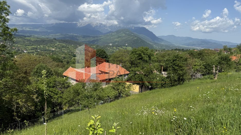 Teren cu priveliște spectaculoasă în Bran – Sohodol - Poză 14