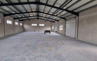 Inchiriere Hală Producție/Depozitare 300 mp, Teren 1791 mp - Carei - Poză 6