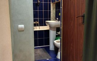 Oferta- Apartament 3 camere Ozana, parter, mobilat, pret excelent - Poză 12