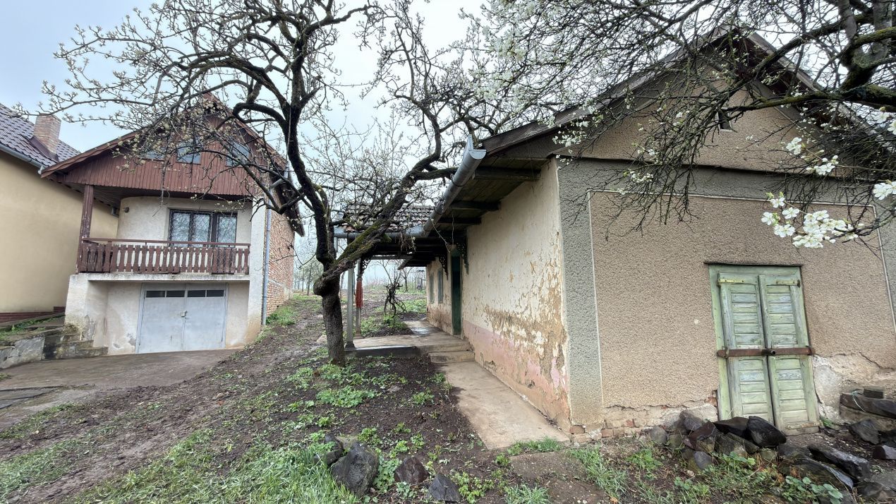 De vânzare 2 Case de vinificație cu Teren 4108 mp - Grădina Viilor - Carei - Poză 15