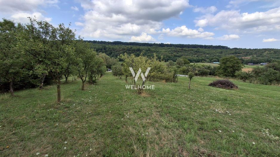 De vânzare teren extravilan în Sibiel, jud. Sibiu – 3223 mp - Poză 11