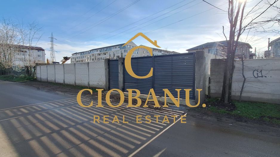 Casa de vanzare zona Damila-Capsunarie - Poză 19