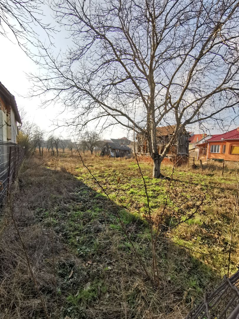 Teren generos vatra veche Dumbravita - Poză 1