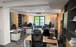 VILA PREMIUM FLOREASCA | 385MP | CURTE PROPRIE-PARCARE | IDEAL BIROURI - Poză 7