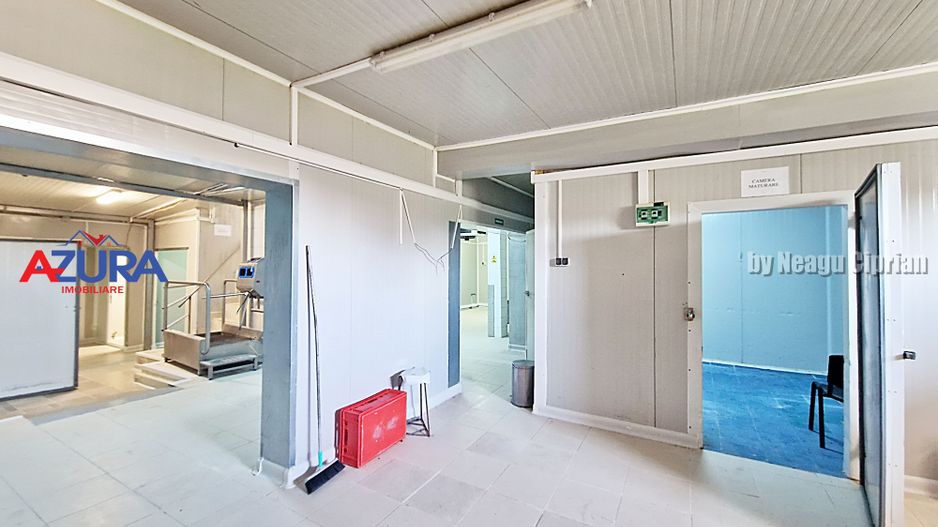 AZURA Imobiliare - Hala Fabrica de procesare Carne - Poză 23