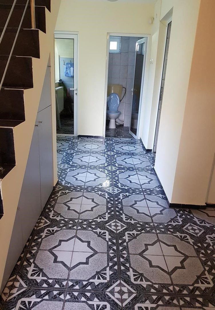 Vila spatioasa Bucurestii Noi | 2 Cocoși - Poză 18