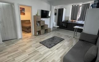 APARTAMENT 2 CAMERE - MOBILAT SI UTILAT - POPAS PACURARI - Poză 2