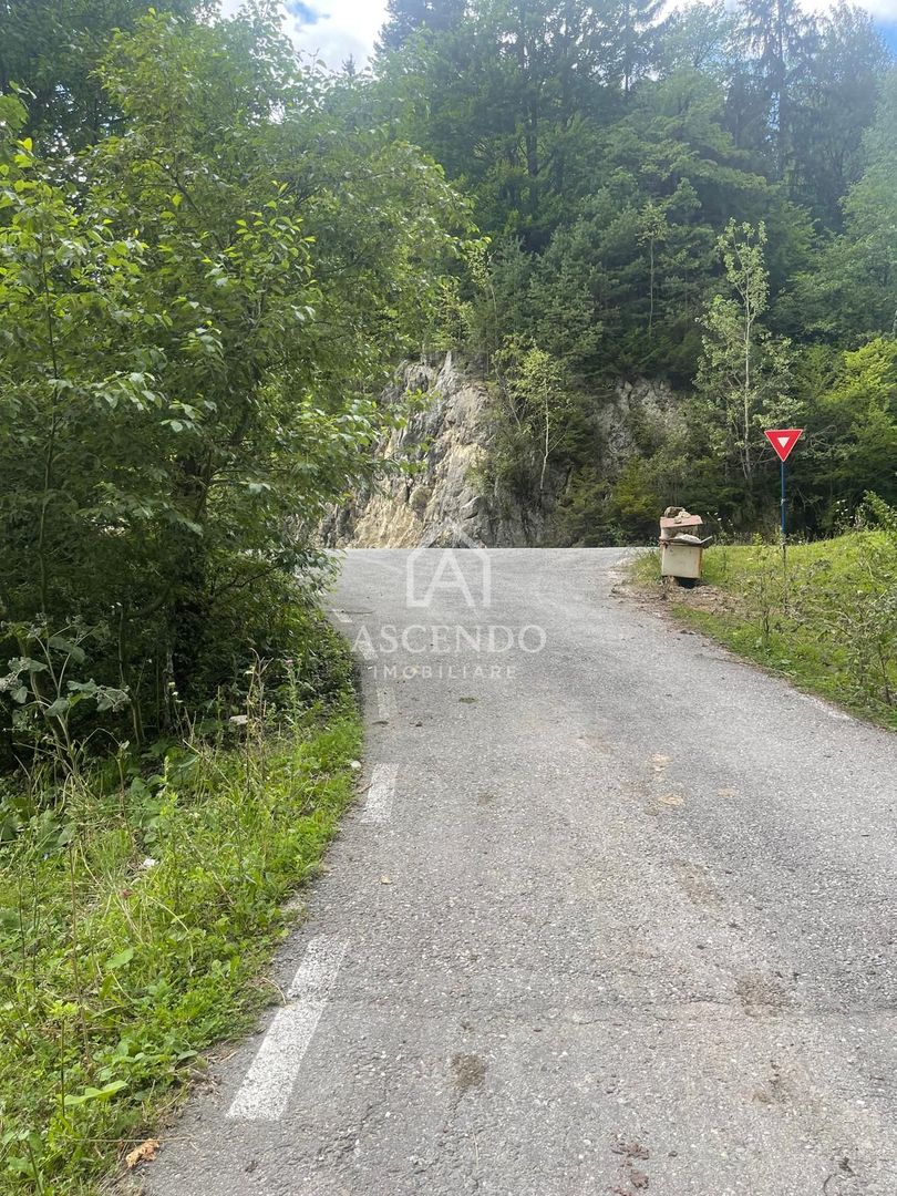 Teren pentru investiție turistică în Dâmbovicioara – Baranga | 4.500 mp | Front ~102 ml - Poză 14