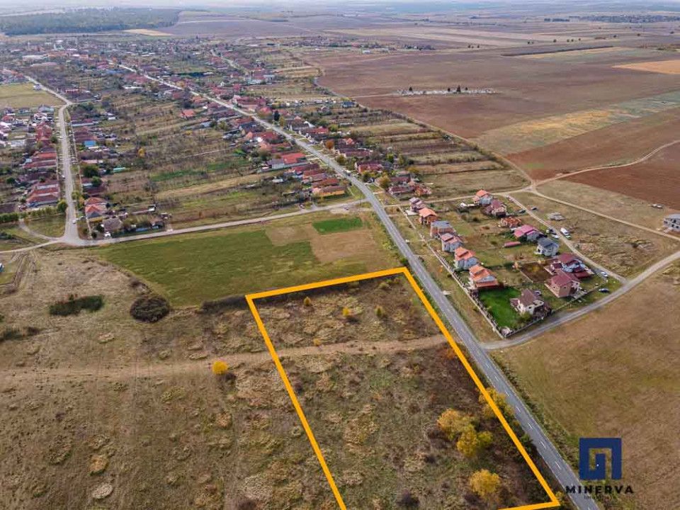 Teren pentru parcelare, 19000 mp, Pișchia, comision 0 - Poză 5